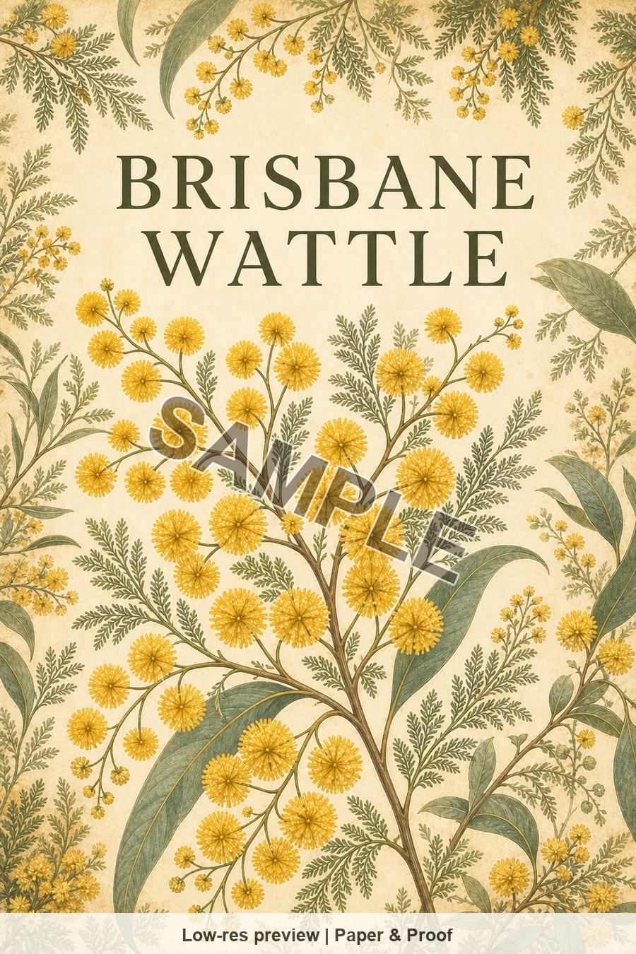 Low-resolution watermarked preview of Brisbane Wattle from the Brisbane Native Blooms set
