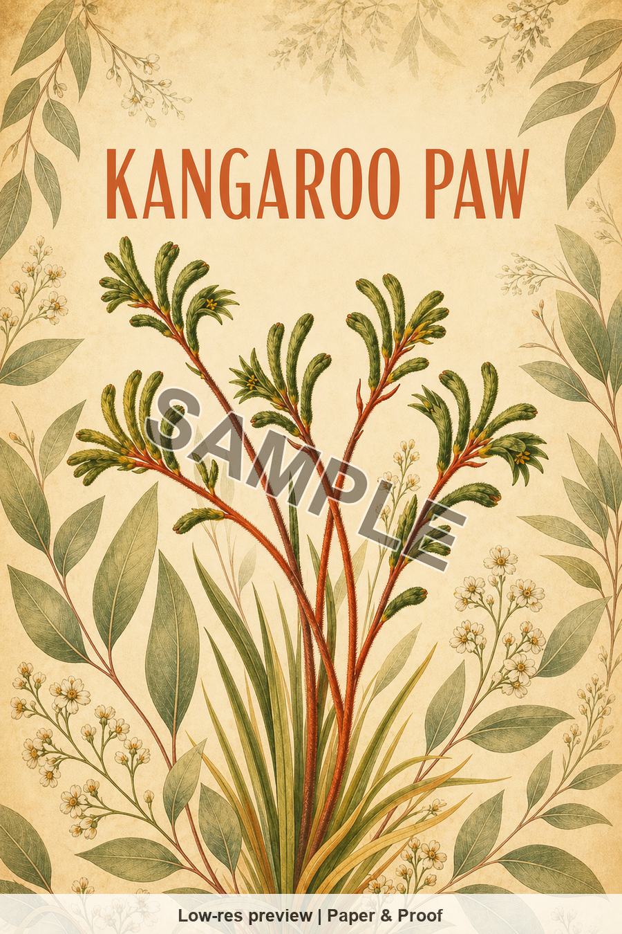 Low-resolution watermarked preview of Kangaroo Paw from the Perth Native Blooms set