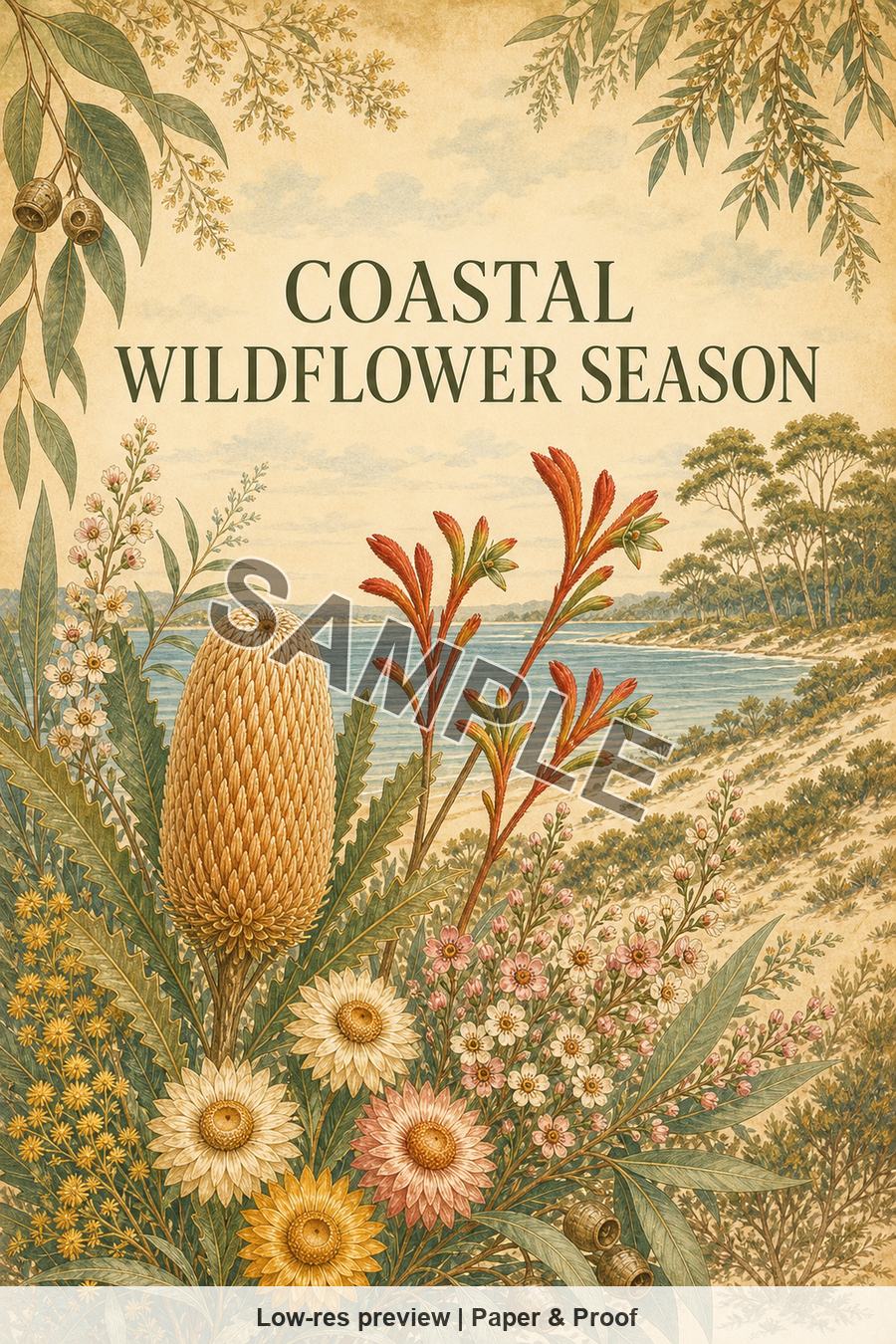Low-resolution watermarked preview of Coastal Wildflower Season from the Perth Native Blooms set