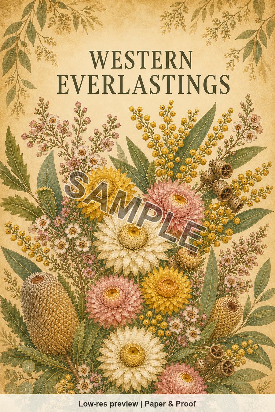 Low-resolution watermarked preview of Western Everlastings from the Perth Native Blooms set